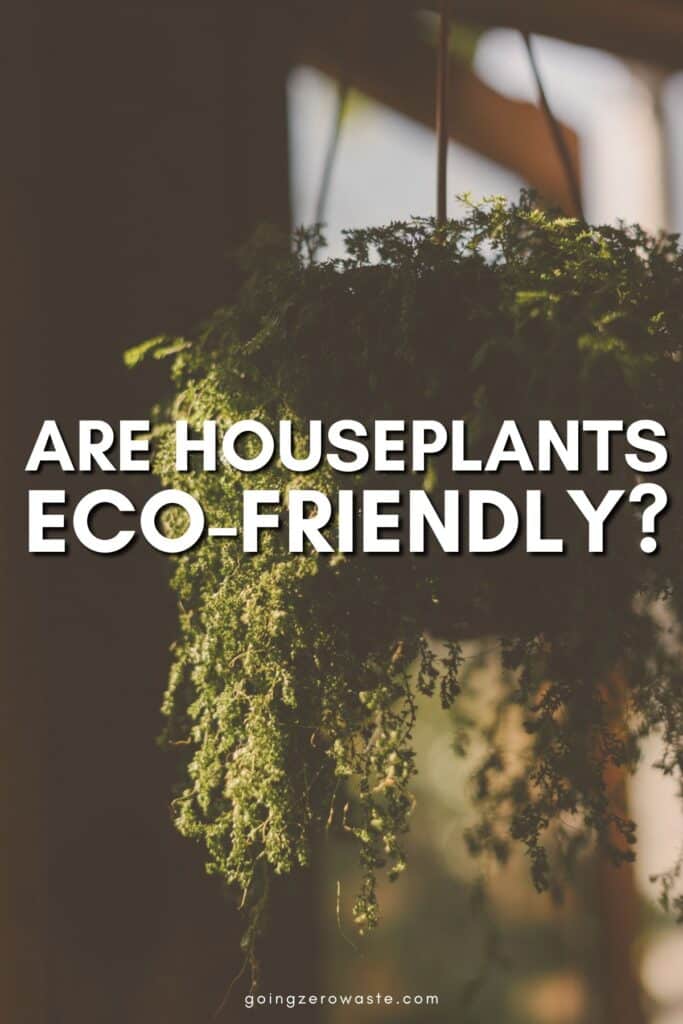 Is Your Plant Addiction Eco-Friendly?